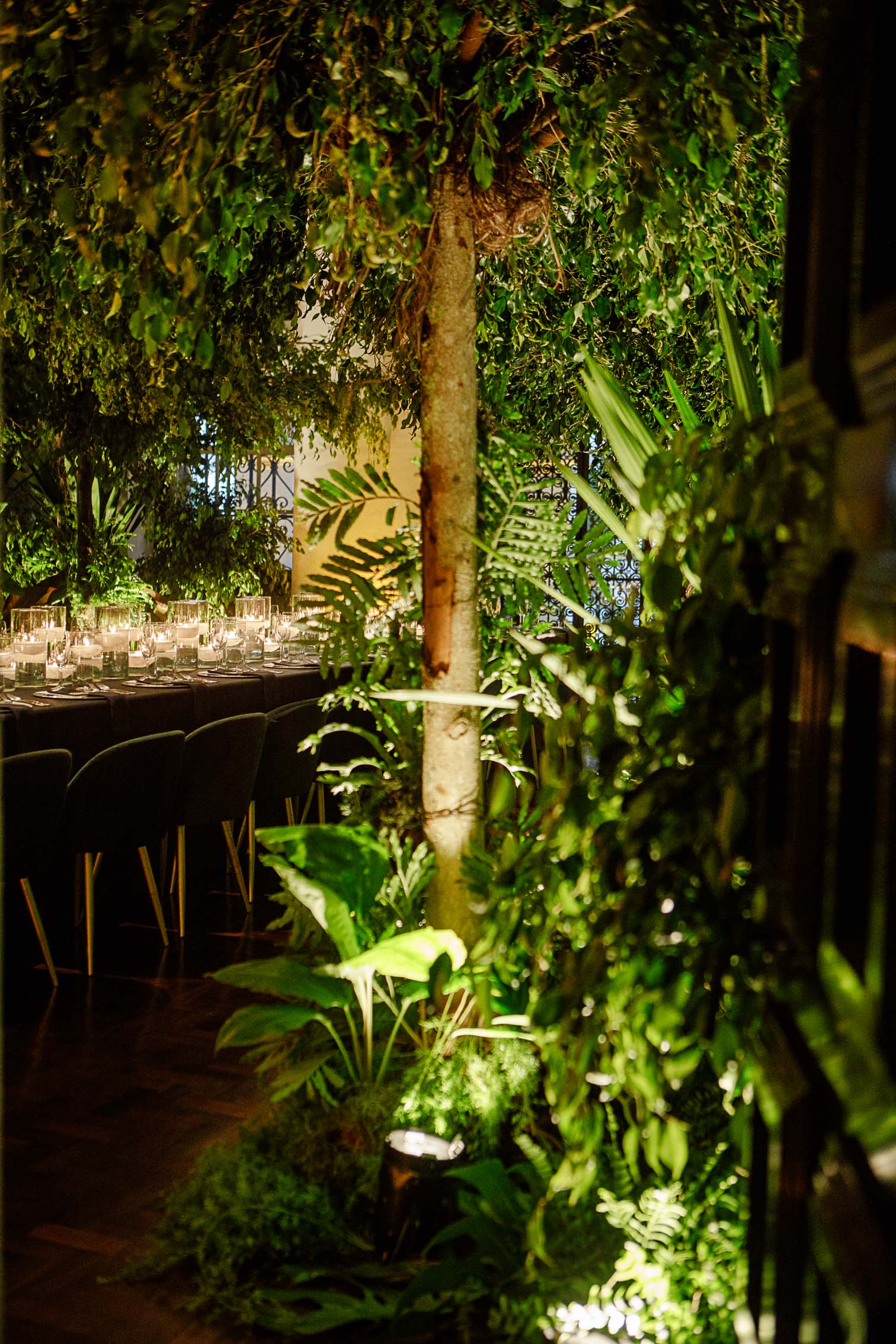 TCD Eventos - Corporativo