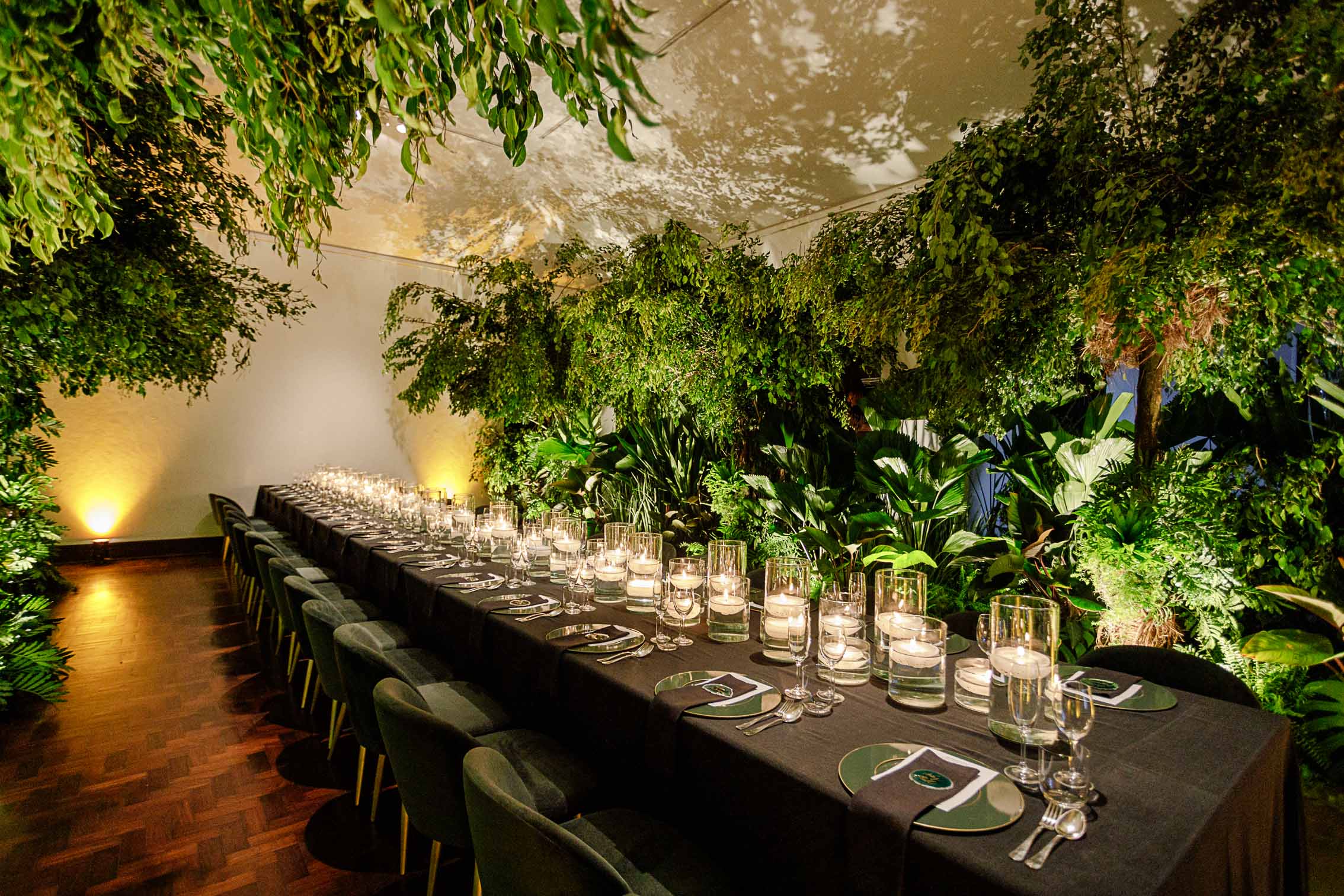 TCD Eventos - Corporativo