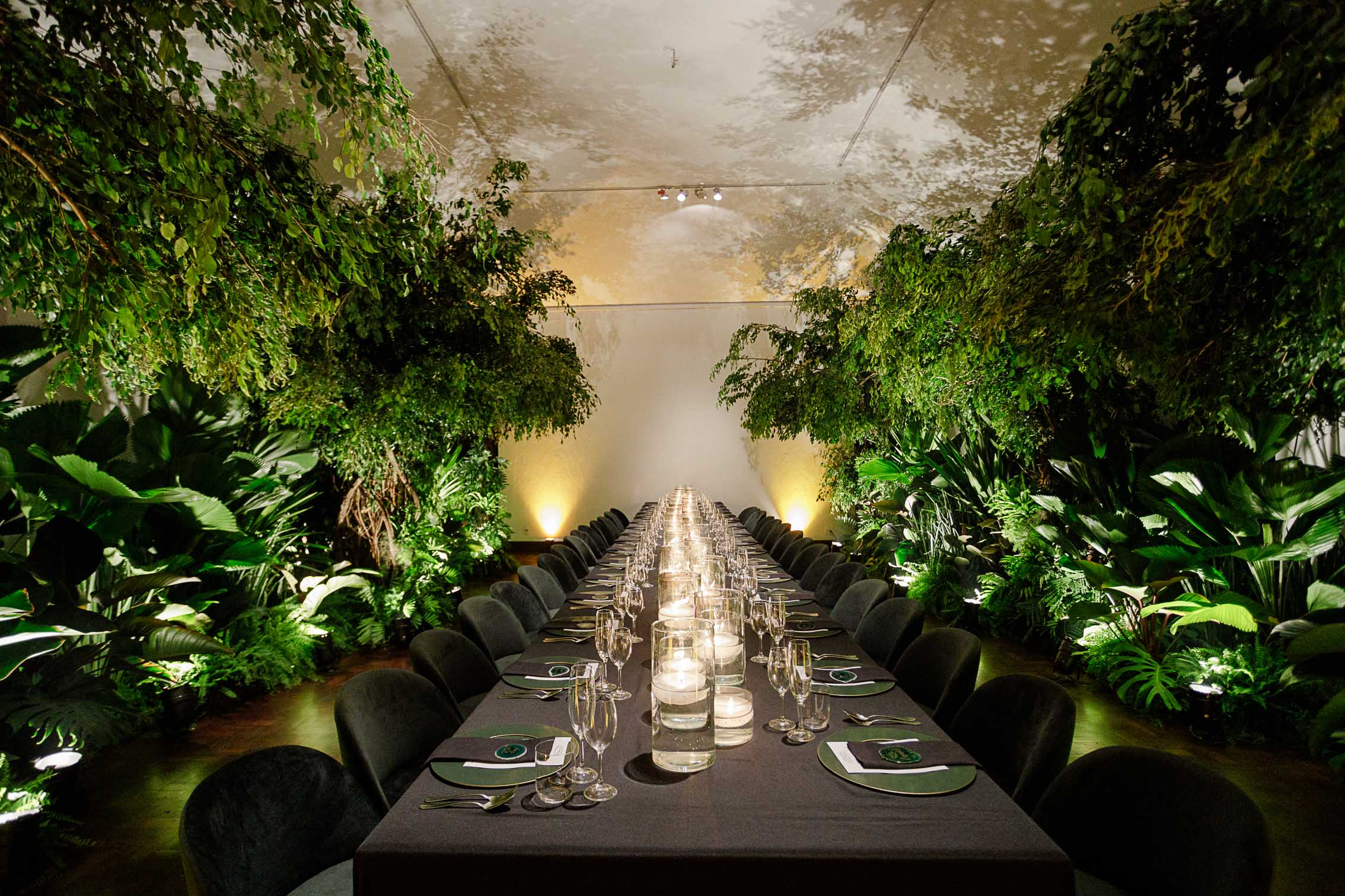 TCD Eventos - Corporativo