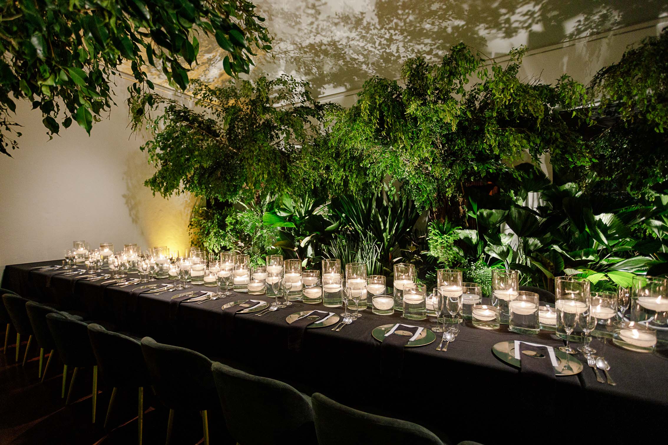 TCD Eventos - Corporativo